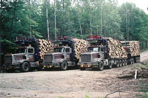 Michigan log hauler Denny Olson advised Western Star engineers on how to build logging trucks: heavy frames, extra lift axles and more. Here’s proof they listened to him.