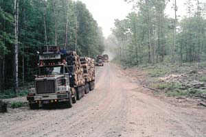 Denny Olson Trucking has been hauling logs in Michigan’s Upper Peninsula for nearly 40 years and Western Star trucks have been right there the whole time.