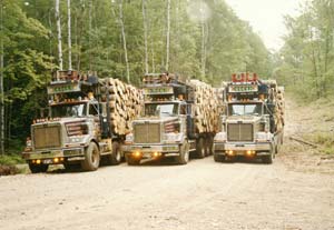 Based in Michigan’s Upper Peninsula, Denny Olson Trucking needed tough, reliable trucks to stay in business. He found what he needed in Western Star trucks.