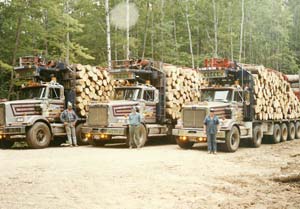 Denny Olson might be Western Star’s biggest champion in Michigan’s Upper Peninsula. He built his log-hauling business around the heavy-duty trucks.