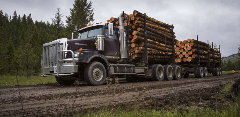 4900SB Logger